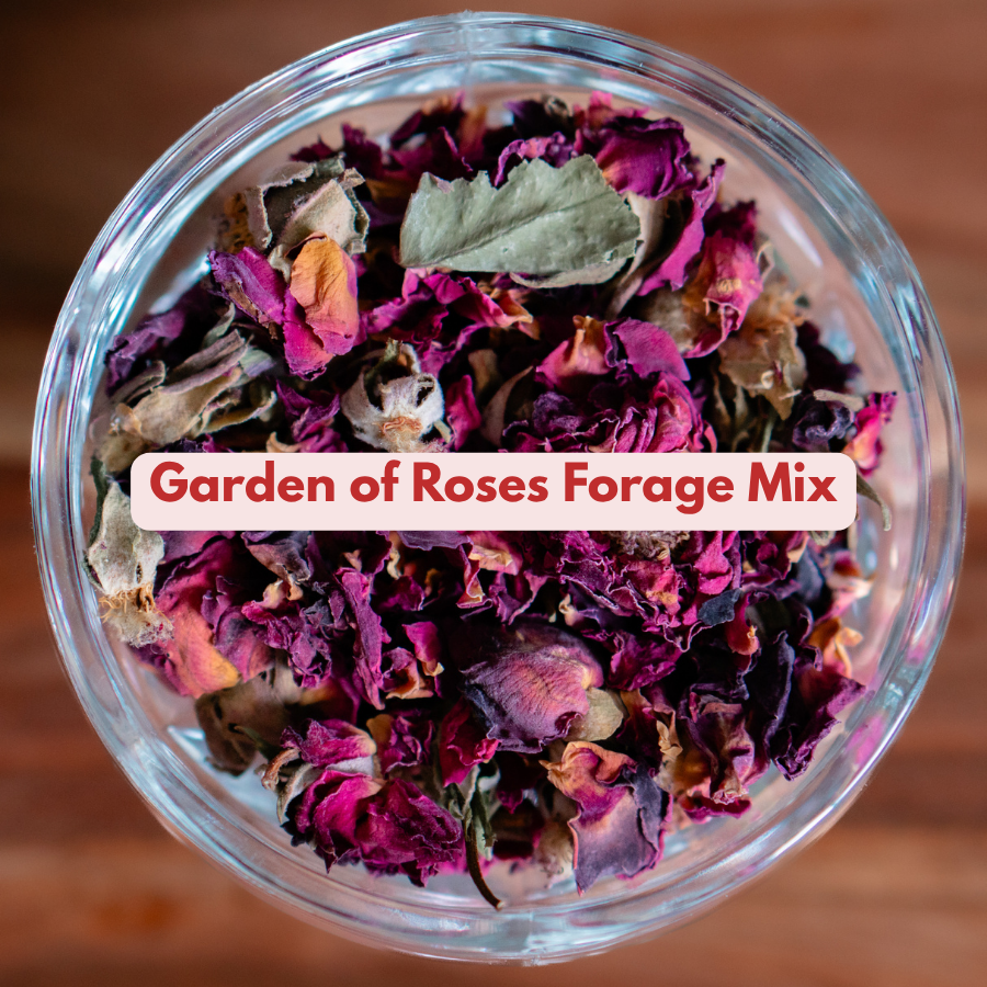 Garden of Roses Forage Blend