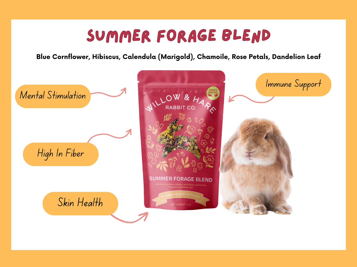 4-Pack Bunny Forage Mix Treat Collection Variety Pack